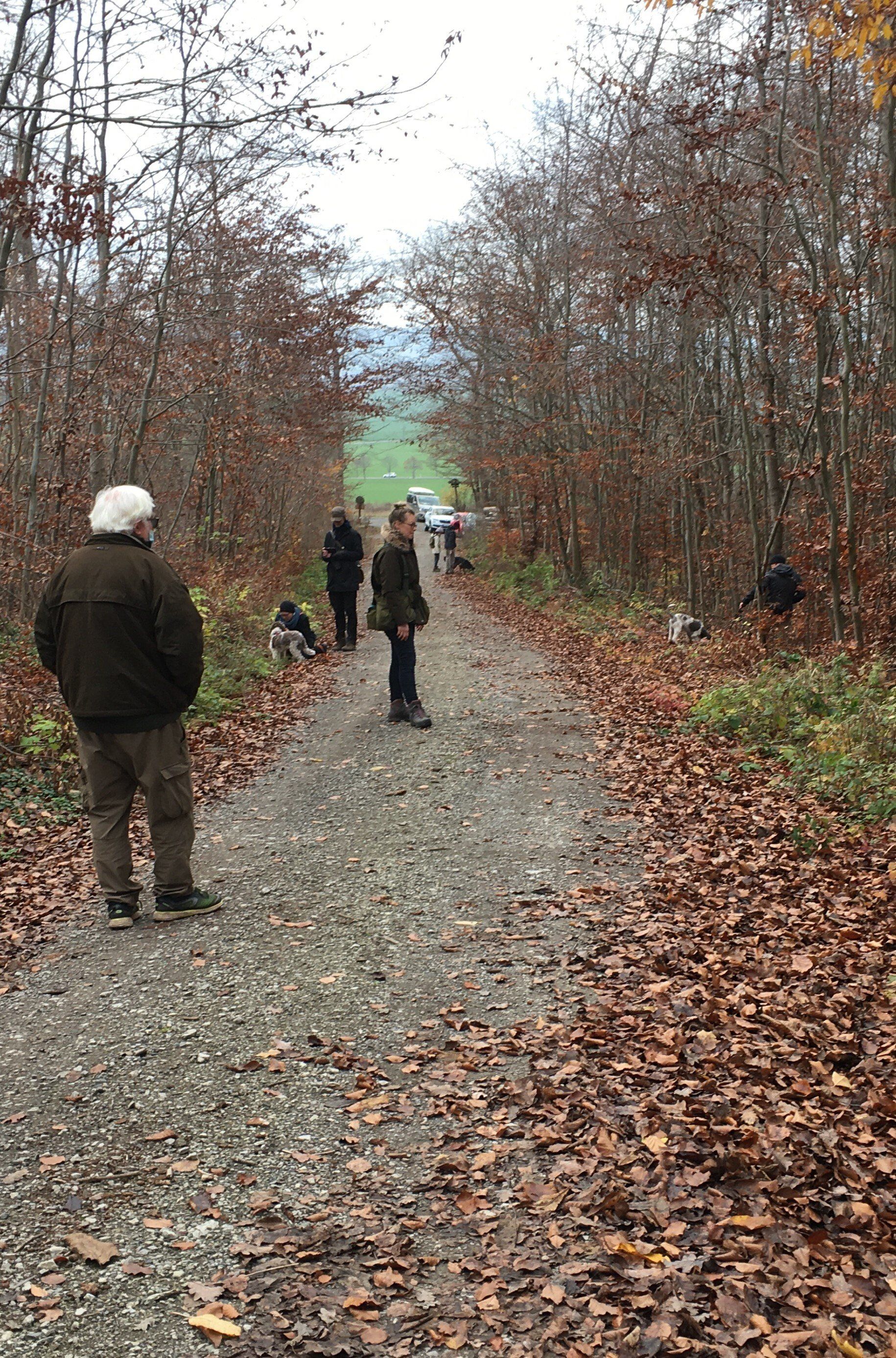 Trüffelsuche in Thüringer Trüffelwelten erlernen