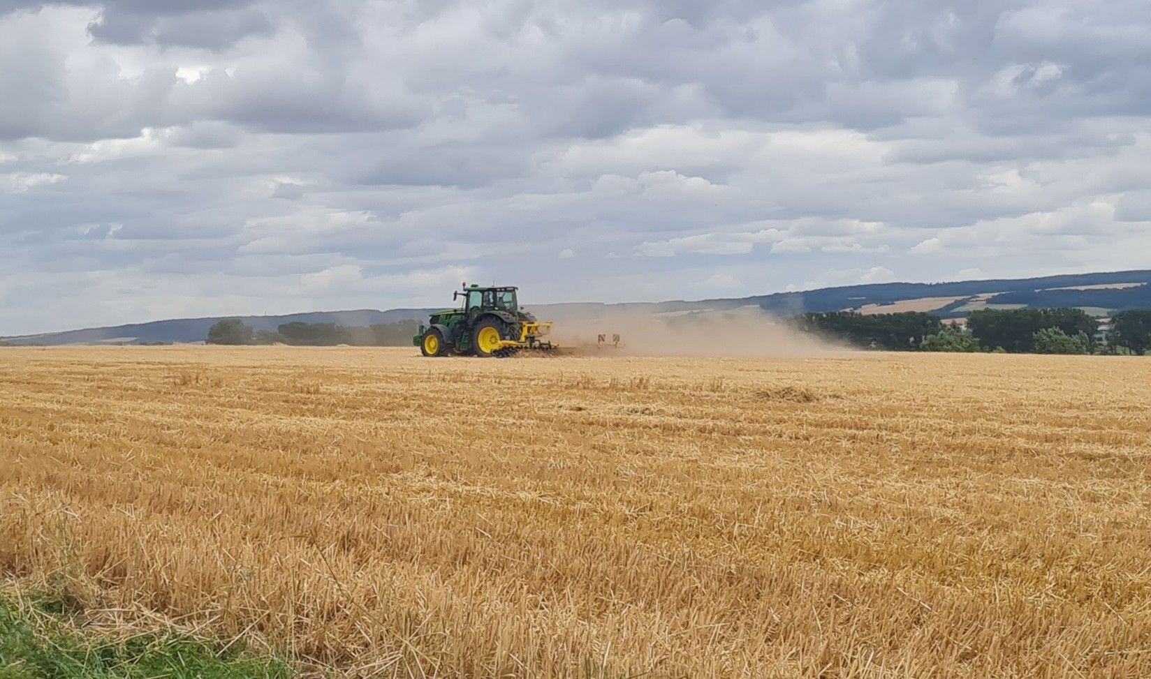 Traktor bereitet Stoppelfeld für den Trüffelanbau vor