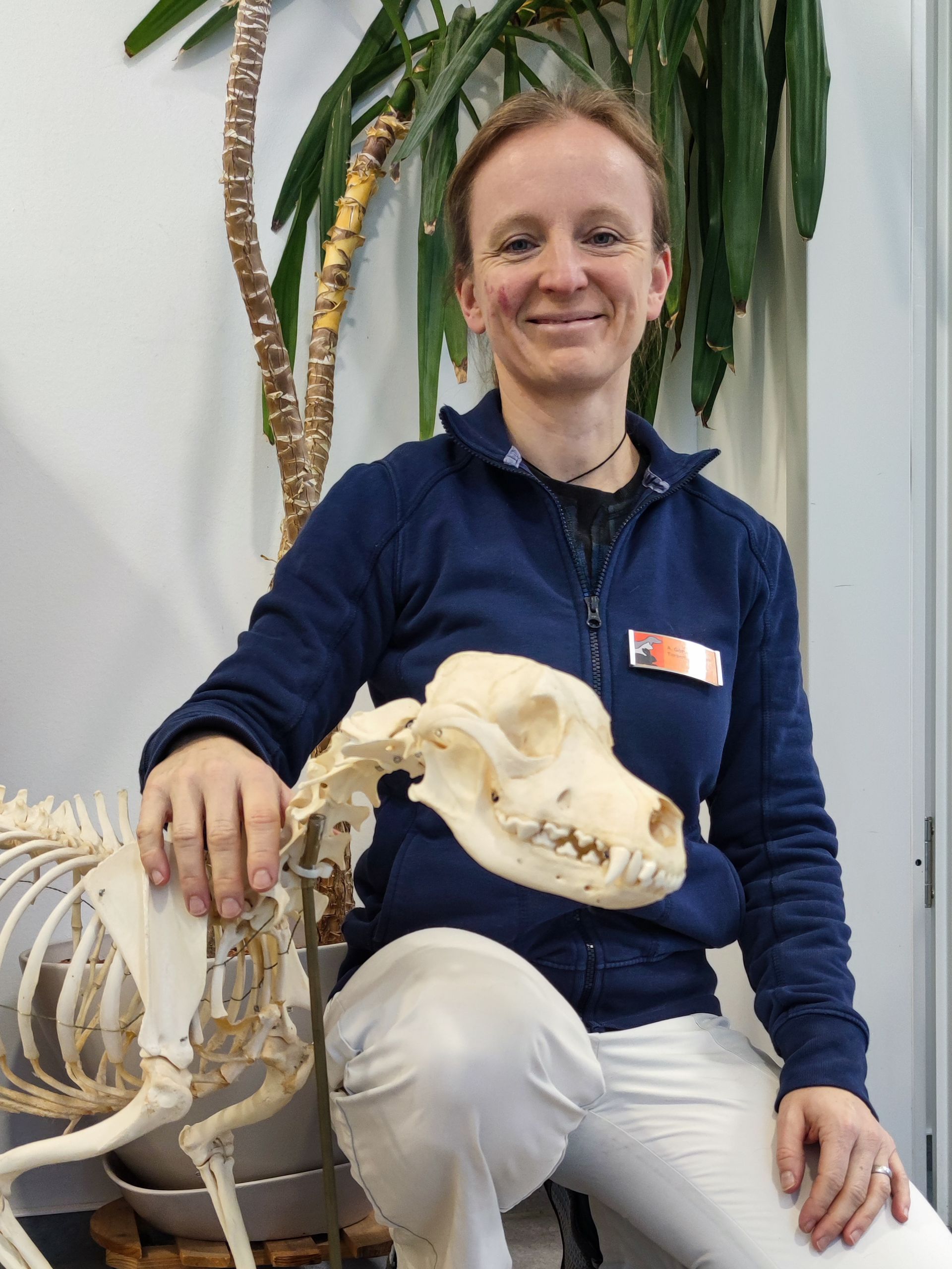 Schwerpunkte: Allgemeinmedizin, Chiropraxis