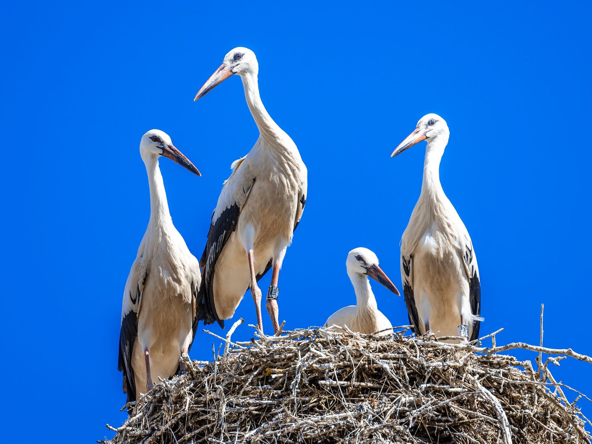 Ausblick aus Zimmer 14