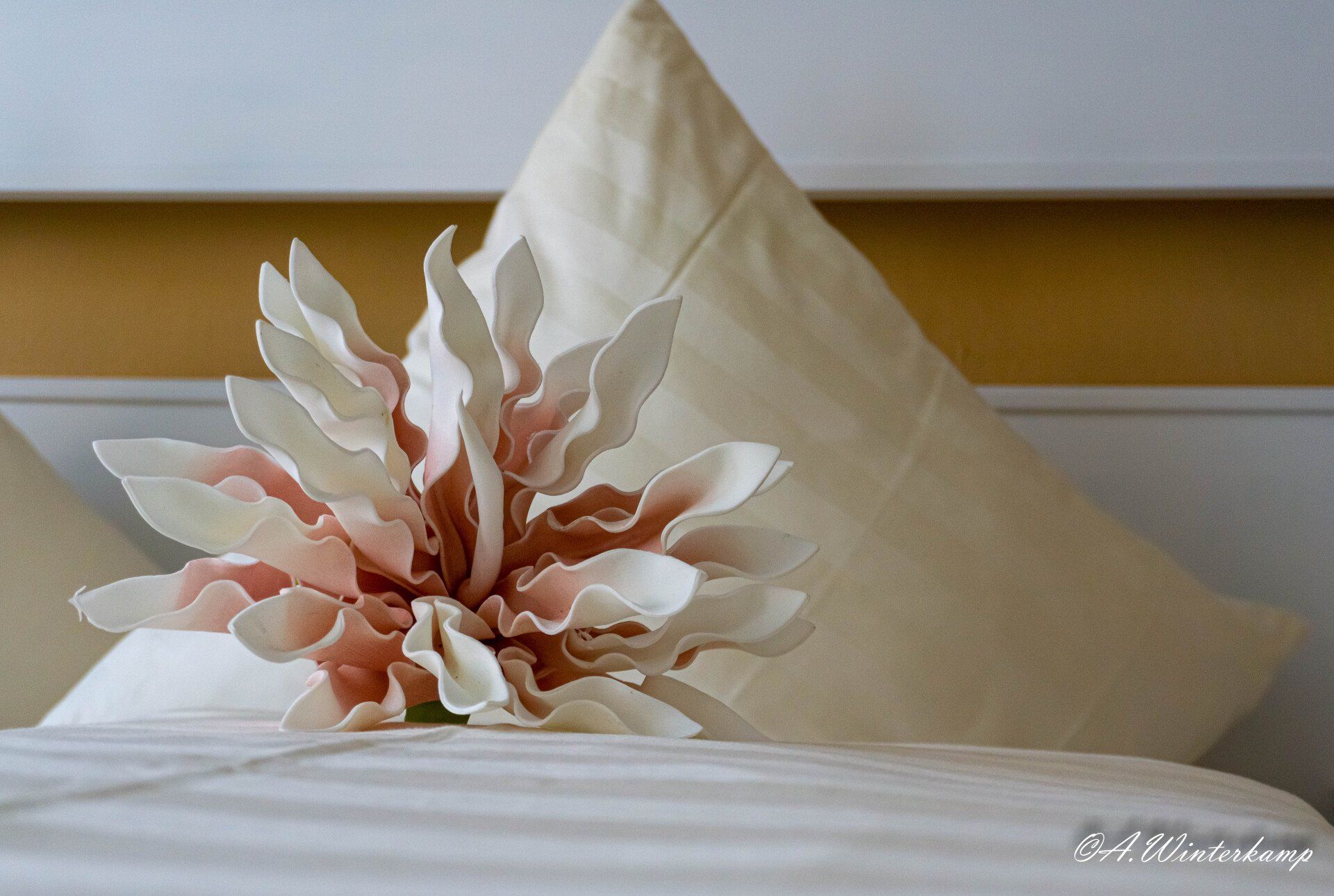 Kuscheln im Adultzs only Hotel Sonne