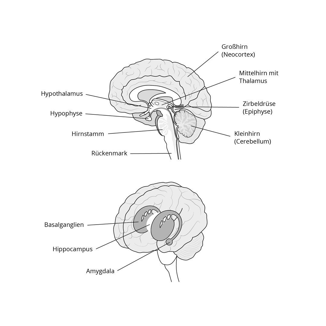 Illustration Infografik