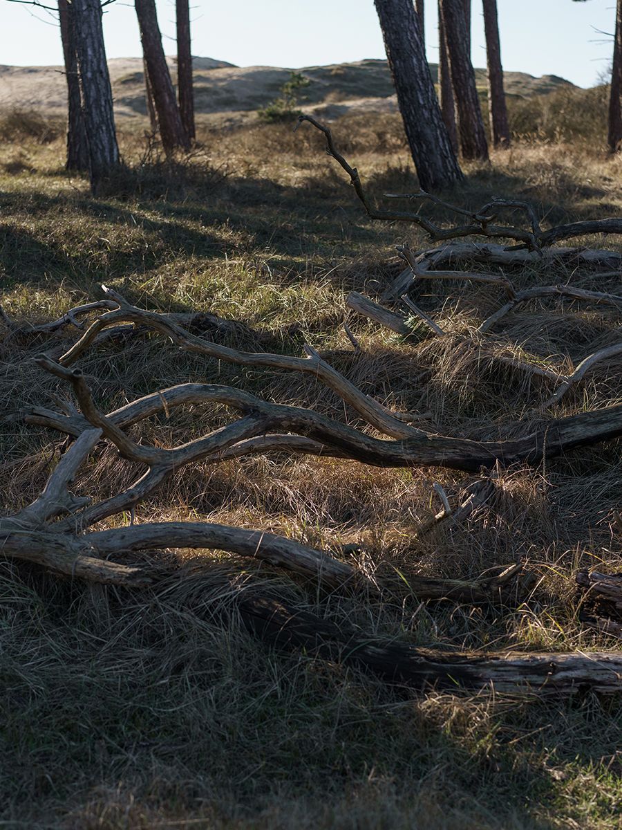 SALVE Hair Care SALVE Hair Care Familienunternehmen Freiburg Berlin Italien nachhaltige Haarkosmetik Haarpflege Shampoo Haarmaske vegan bio professionelle Haarpflege Produkte regional hergestellt