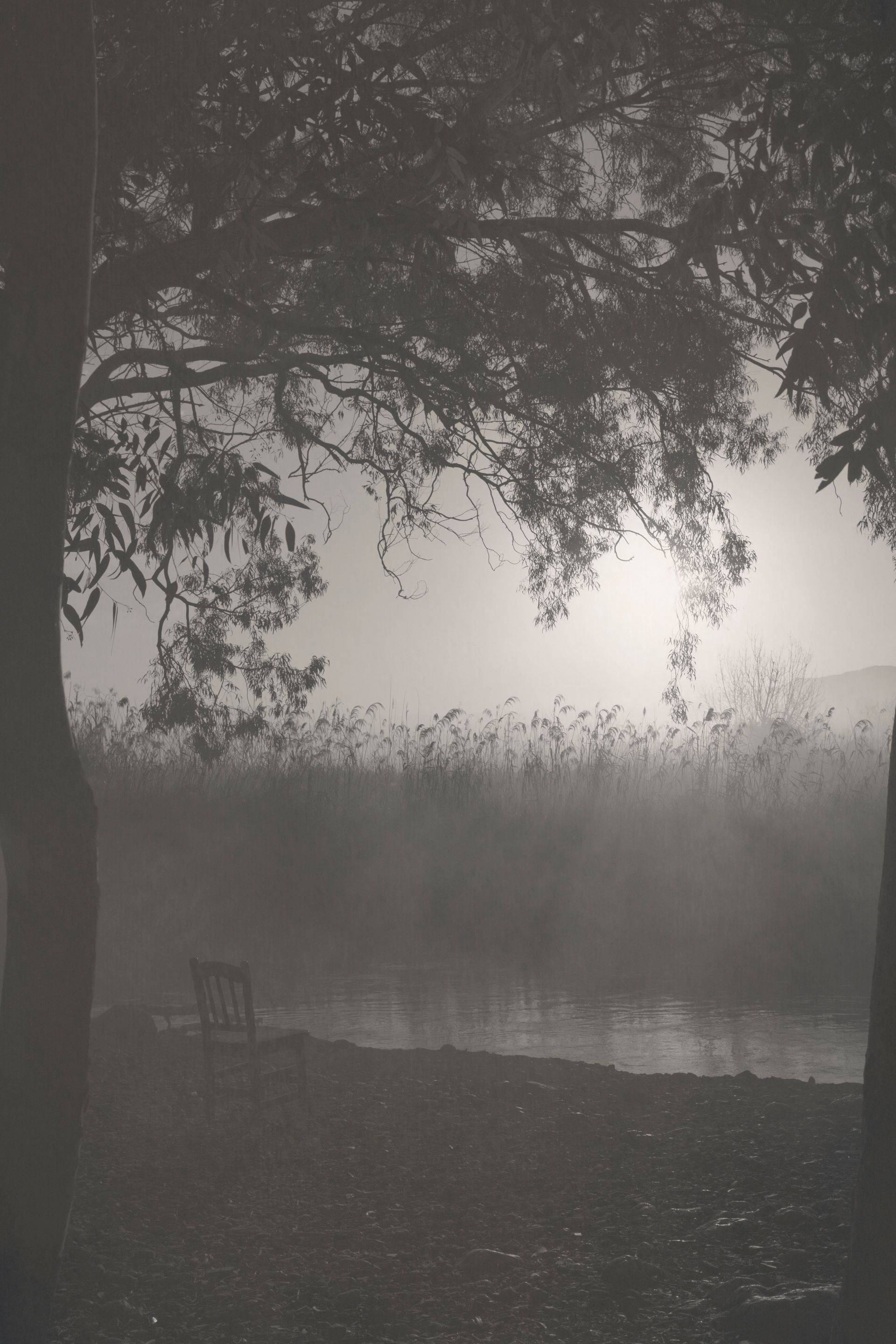 Empty chair by a lake at sunrise, tree branches hanging low, mist rising over the water.
