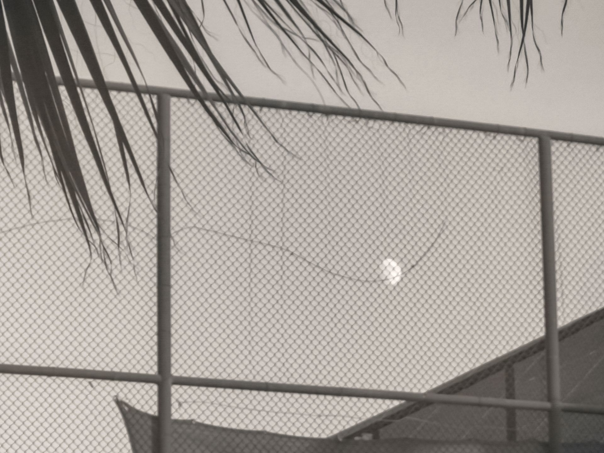 Moon behind the fence Moon behind a wire fence with tree branches in the corner.