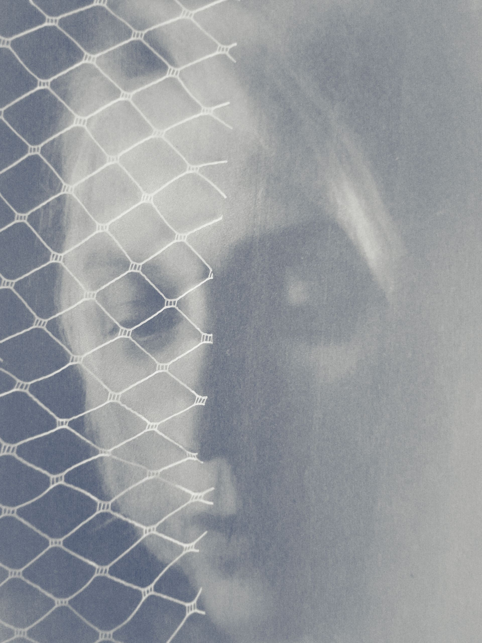 Self-portrait collage of six images: face with layered objects; close-up of collarbone; back with small butterfly wing; one hand touching the other; feather resting on closed eyes; face with closed eyes, expressing calm and introspection.