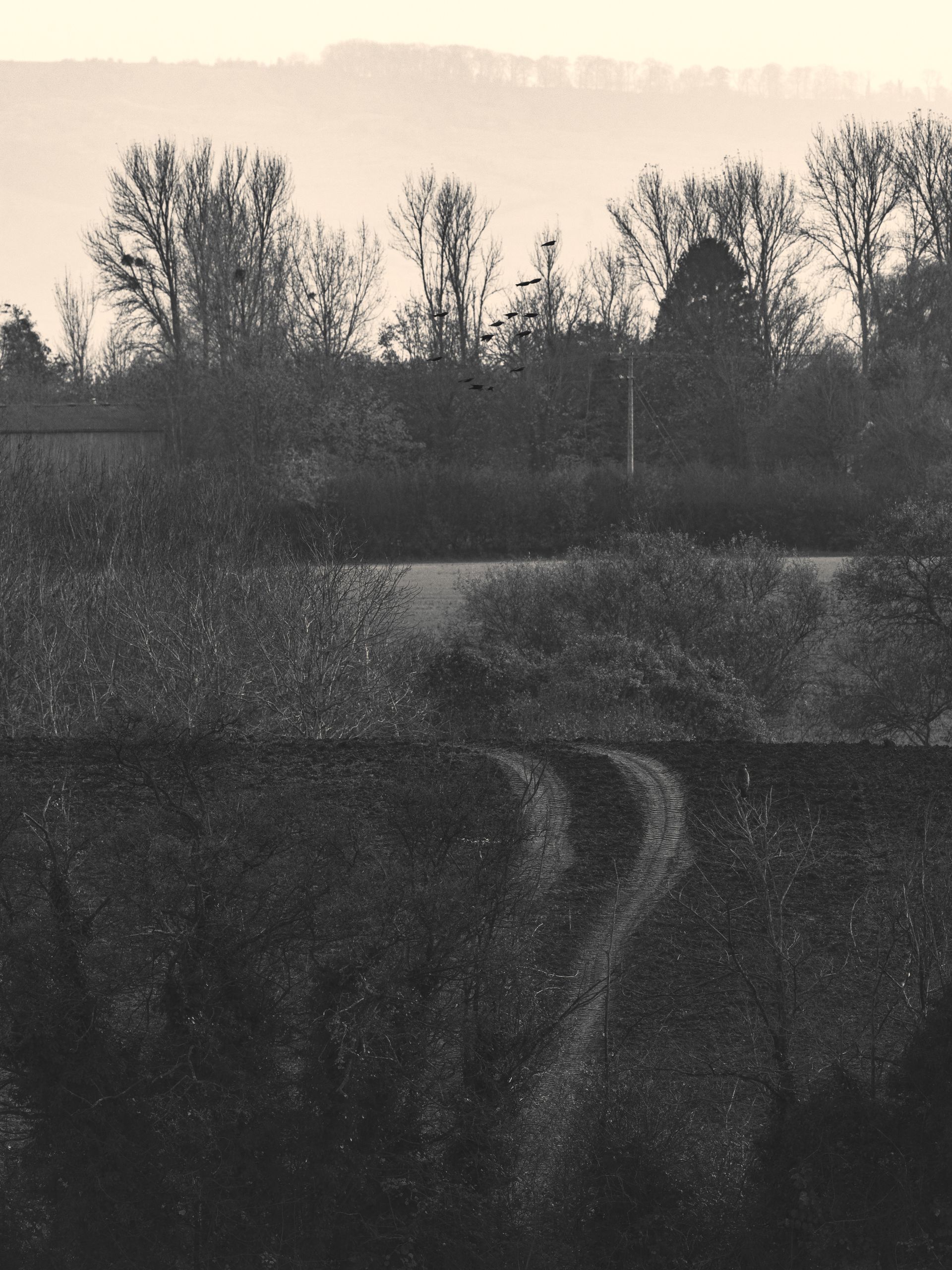 A winding path disappearing into the horizon,symbolizing the journey of life and the choices we make