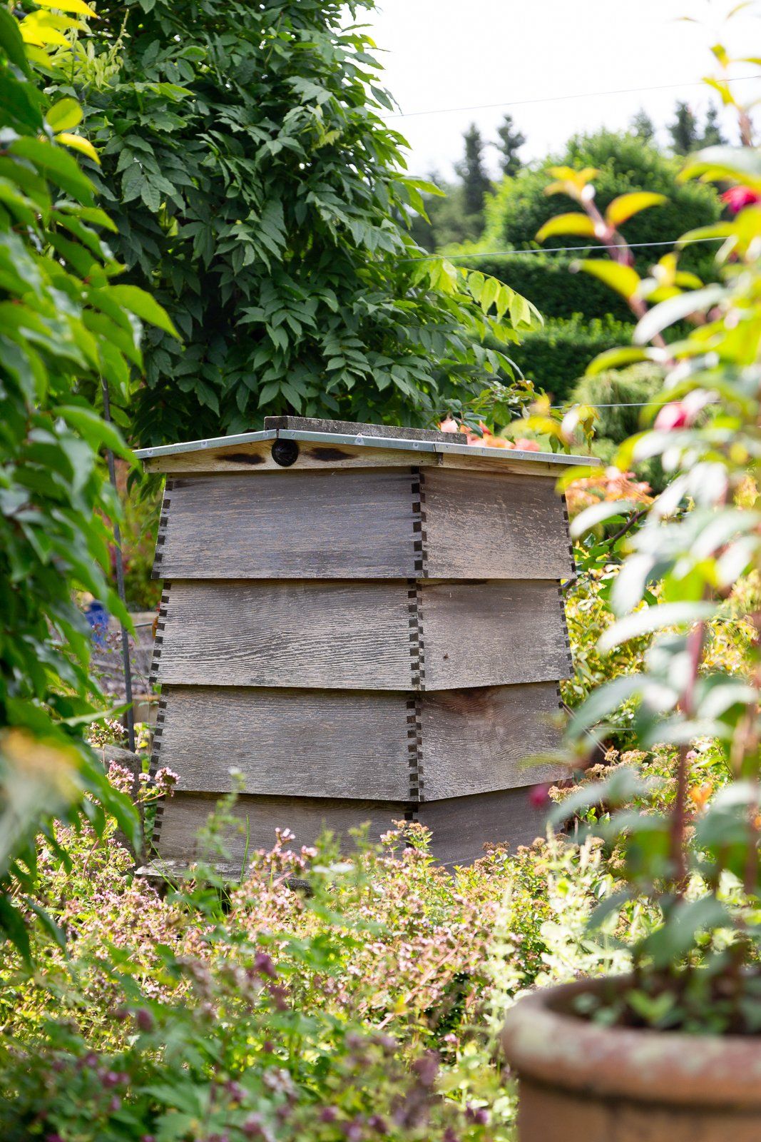 Image of beehive in garden setting