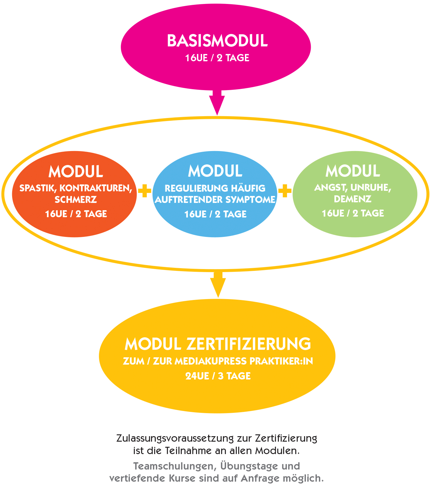 Ausbildunggrafik zum downloaden