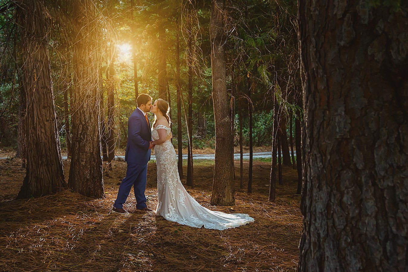 Foresthill Wedding Photo
