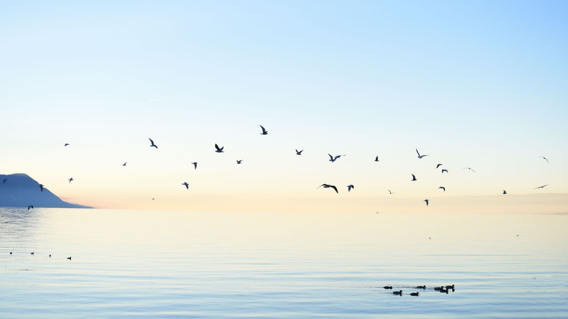 Schuld löst sich in der Wahrheit, in der Energie der Liebe auf.