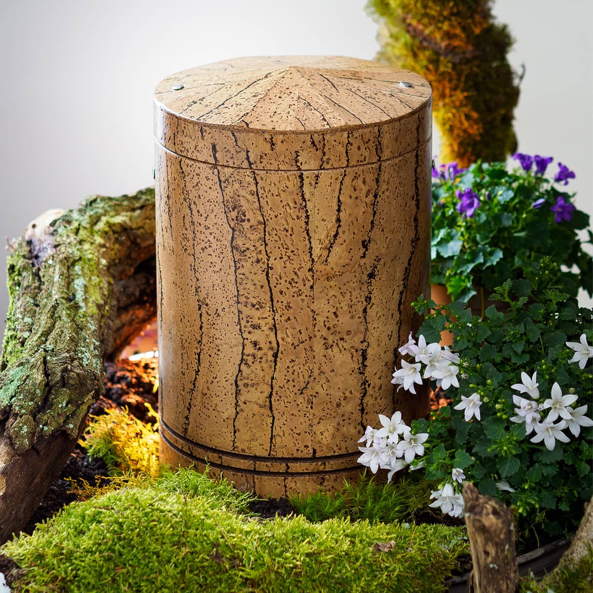 KU-1010-LN Biourne aus Kork farblos lackiert