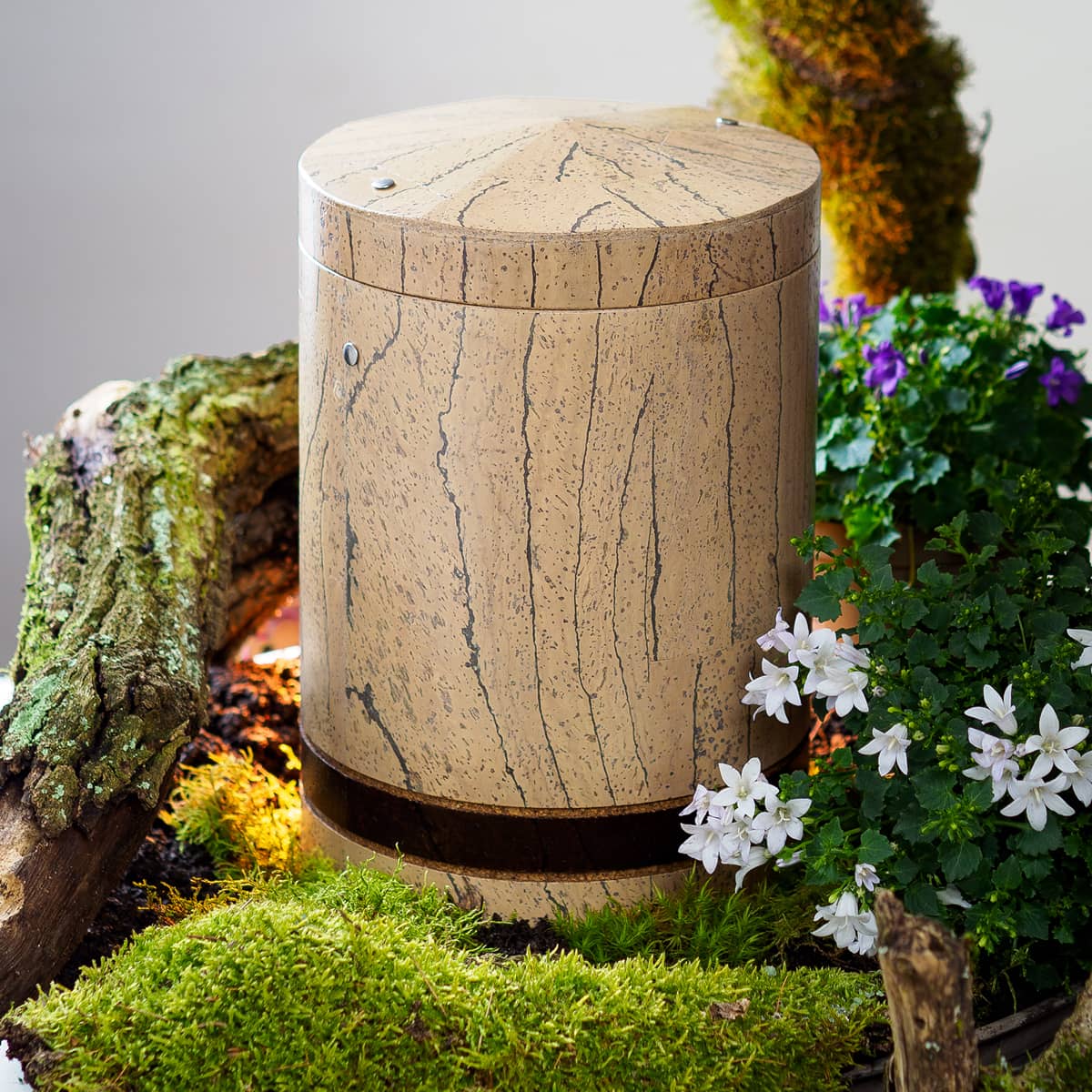 KU-1020-CB Biourne aus Kork creme/braun gebeizt