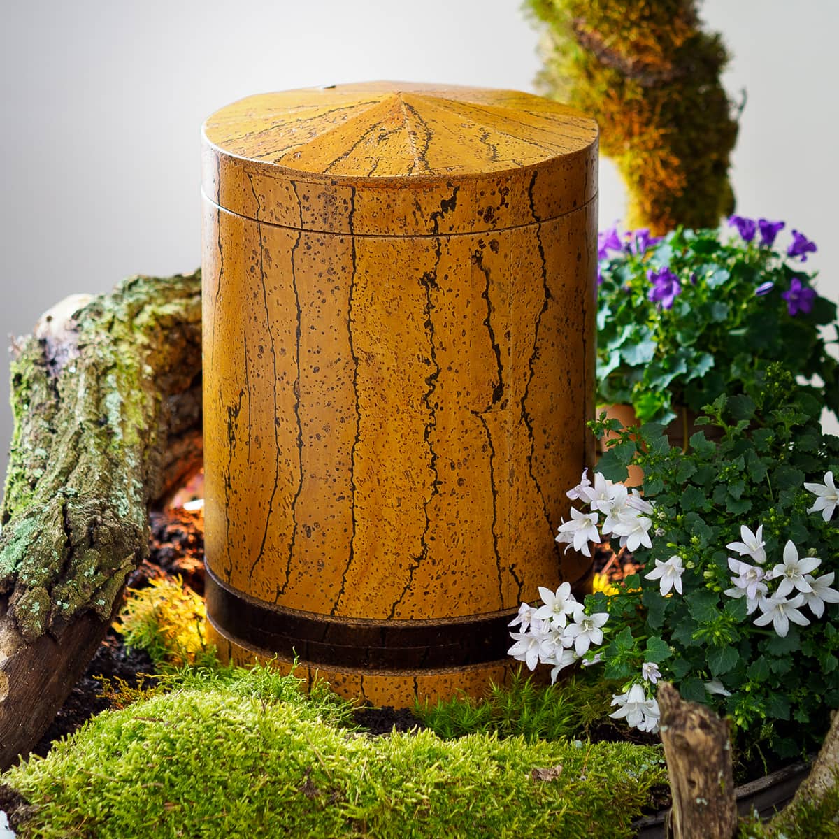 KU-1020-HBB Biourne aus Kork hellbraun/braun gebeizt