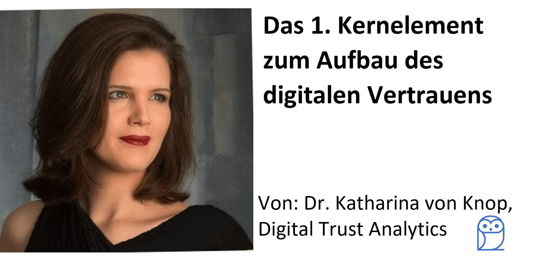 Digitales vertrauen aufbauen, Digitales Vertrauen verdienen, Cybersicherheit, Datenschutz Safety, Digital Trust, Build Digital trust, Elements of digital trust