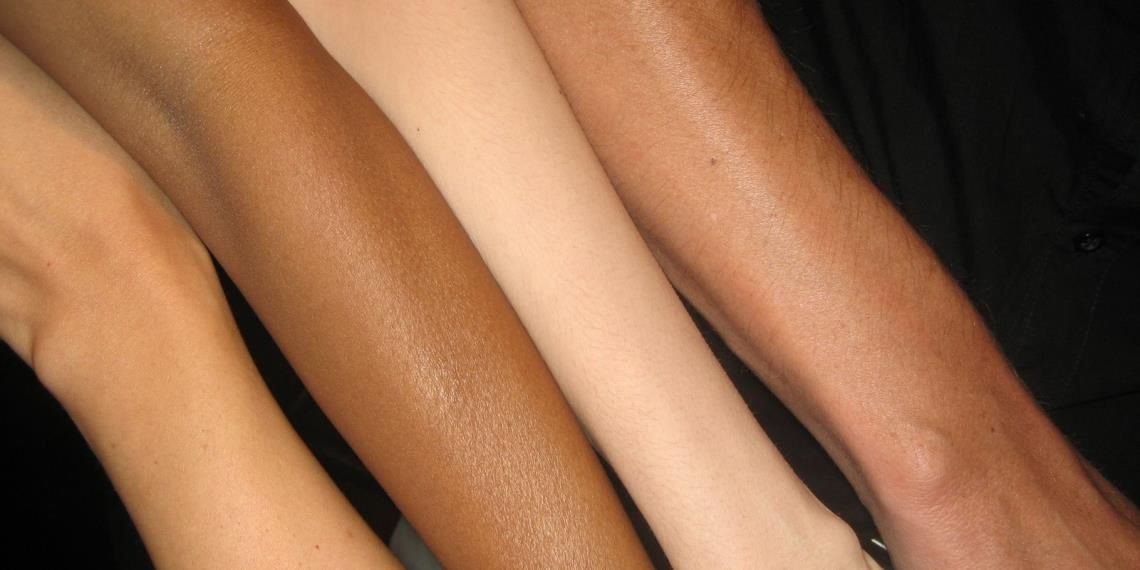 La epidermis ¿Cómo se regenera y que espesor tiene?