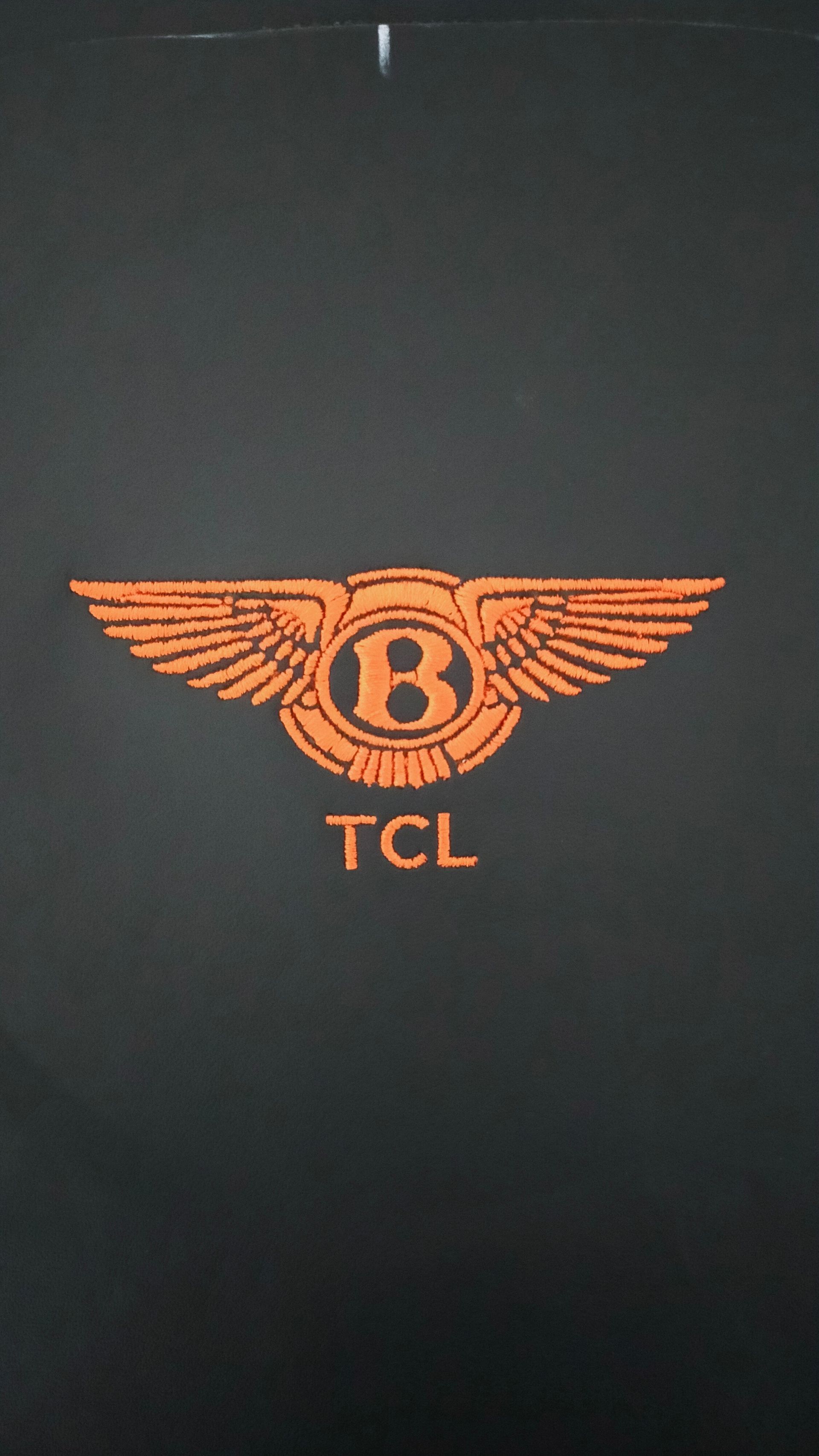 horse numnah embroidery, sponsorship embroidery