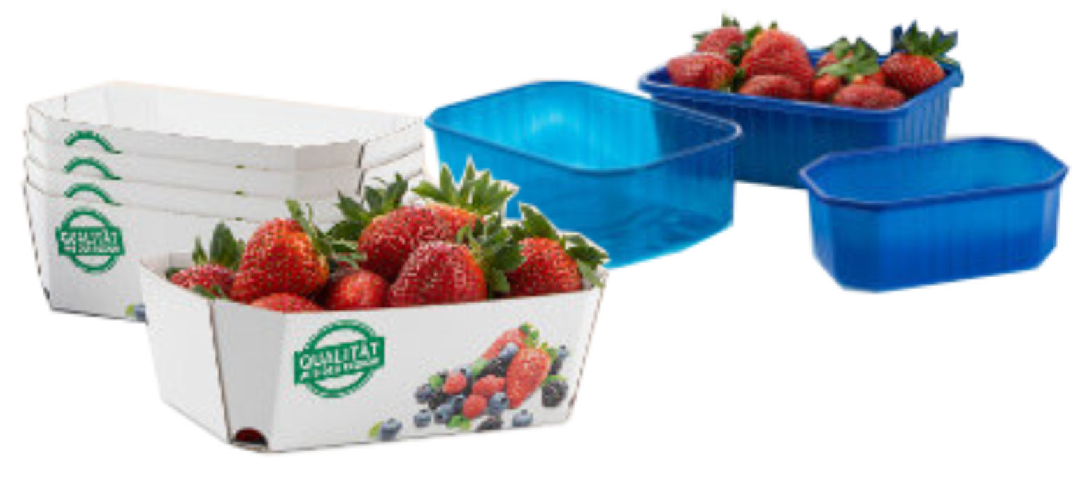 Beerenschalen aus Pappe oder Kunststoff für Obst