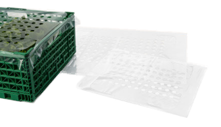 Folienabdecker aus transparenter Folie mit Lochung für Belüftung als Abdeckung für Gemüsekisten