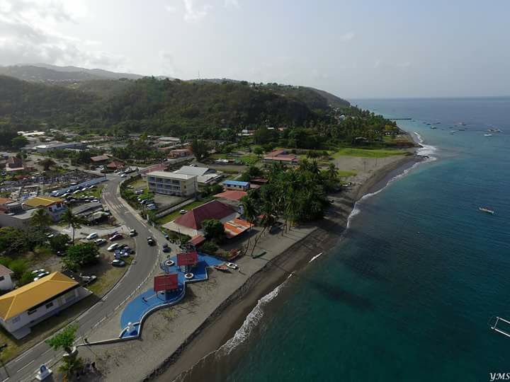 Article  : Martinique 1ère