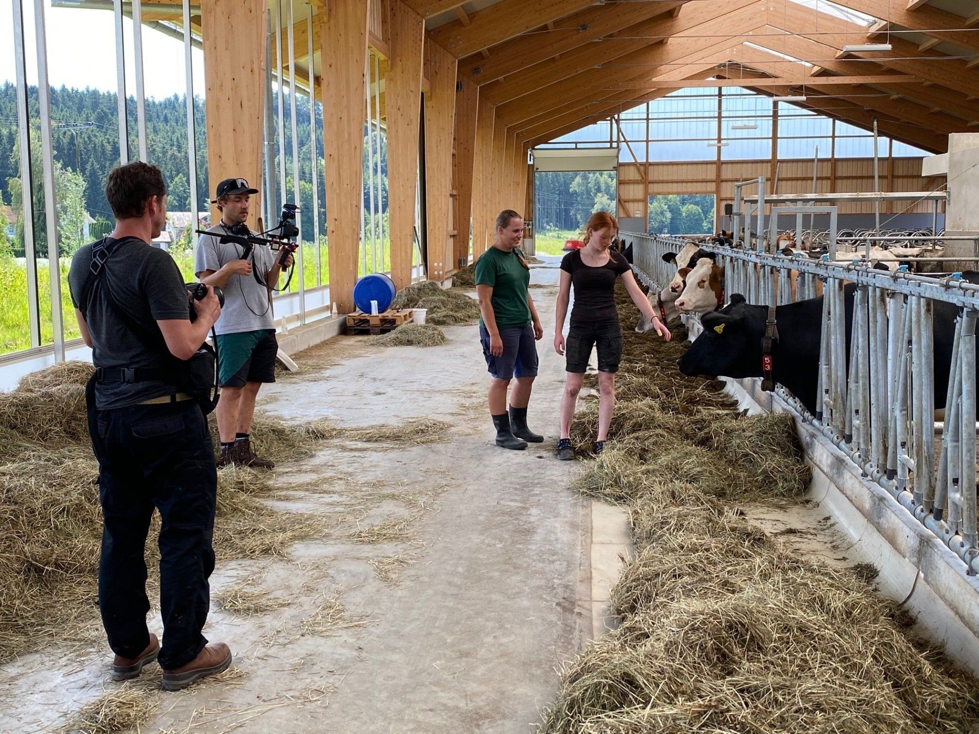 Einfach hier Klicken und schon bist Du mitten in der Kartoffelernte