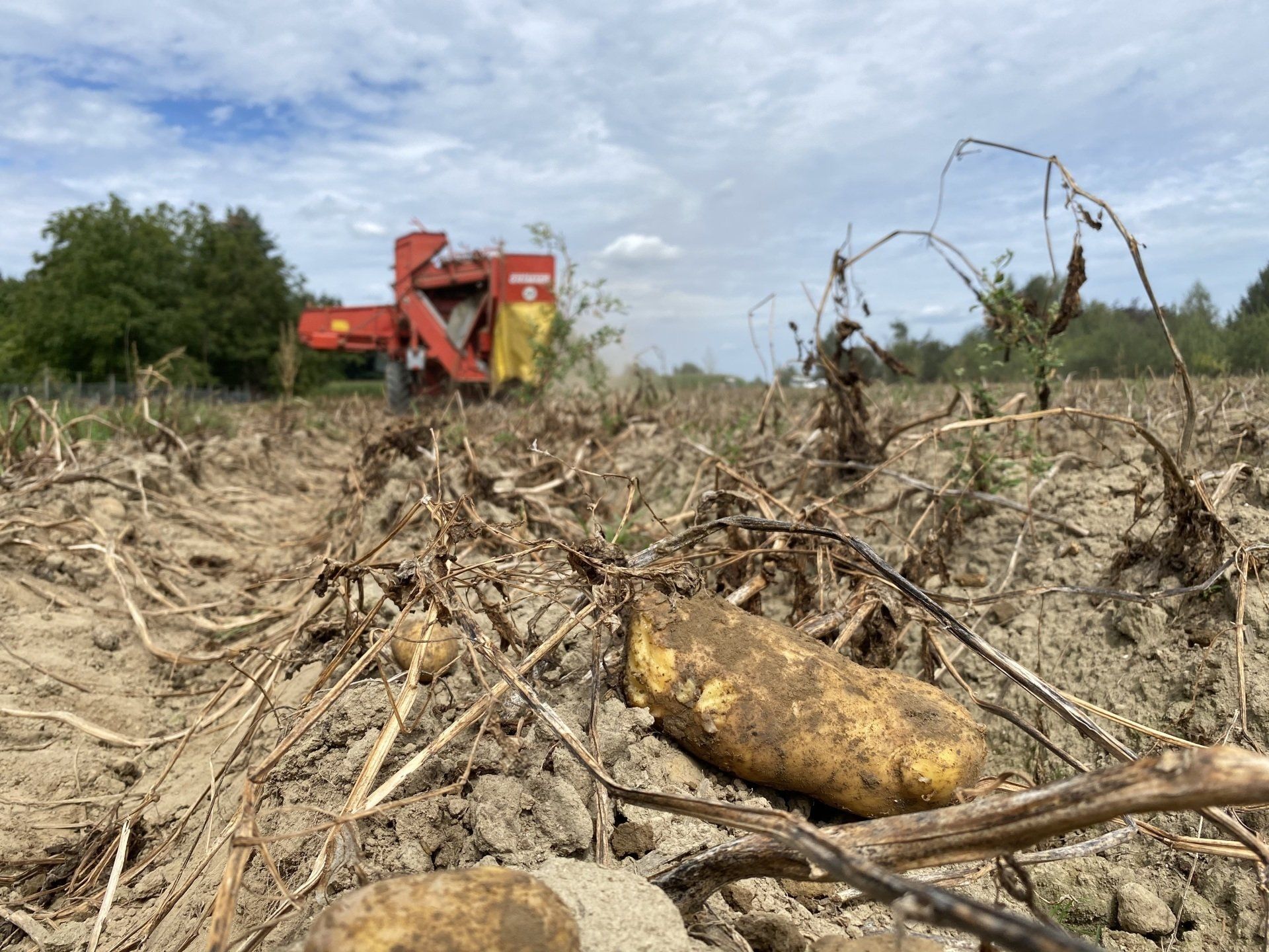 Einfach hier Klicken und schon bist Du mitten in der Kartoffelernte