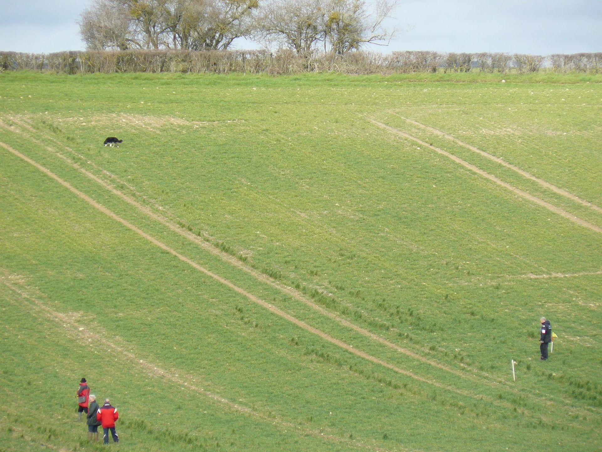 Concours de pistage 2 et 3 décembre