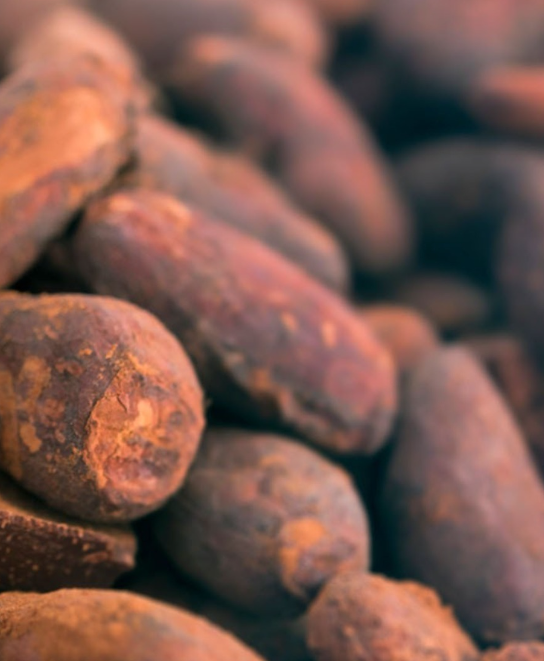 Produit de Gabriele Maiolani