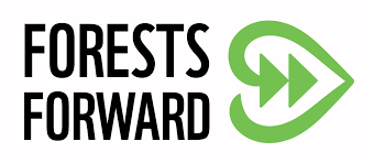Logo WWF