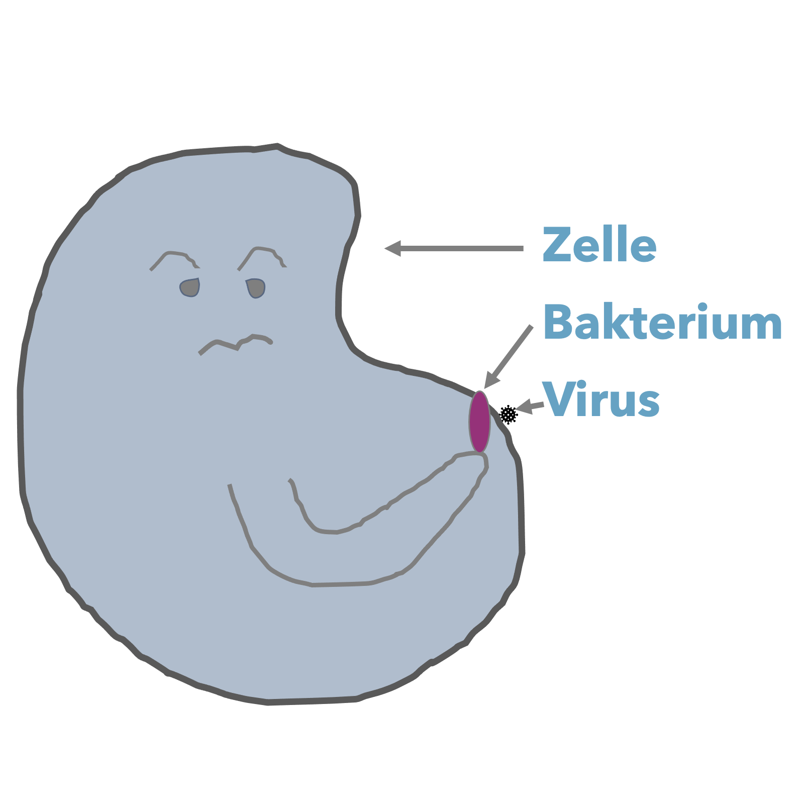 Größe Viren und Bakterien