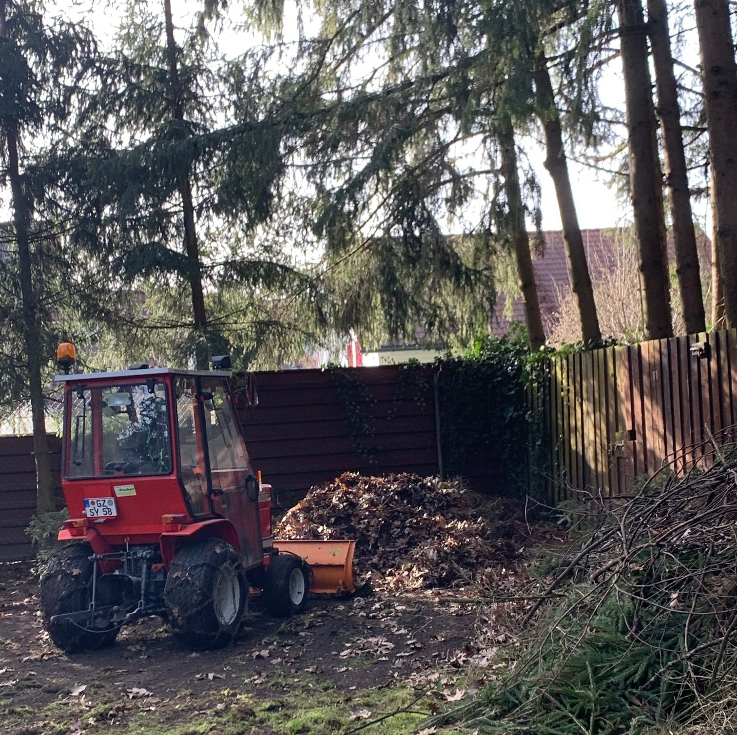 grünes Klassenzimmer