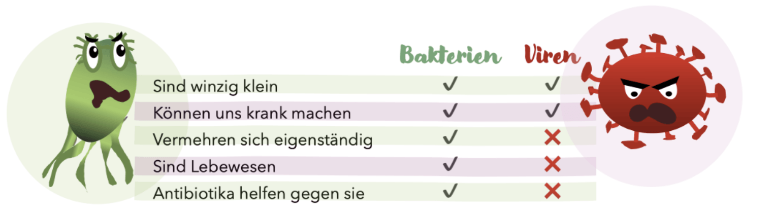 Unterschied Viren und Bakterien