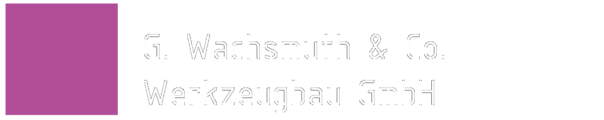 Logo Wachsmuth