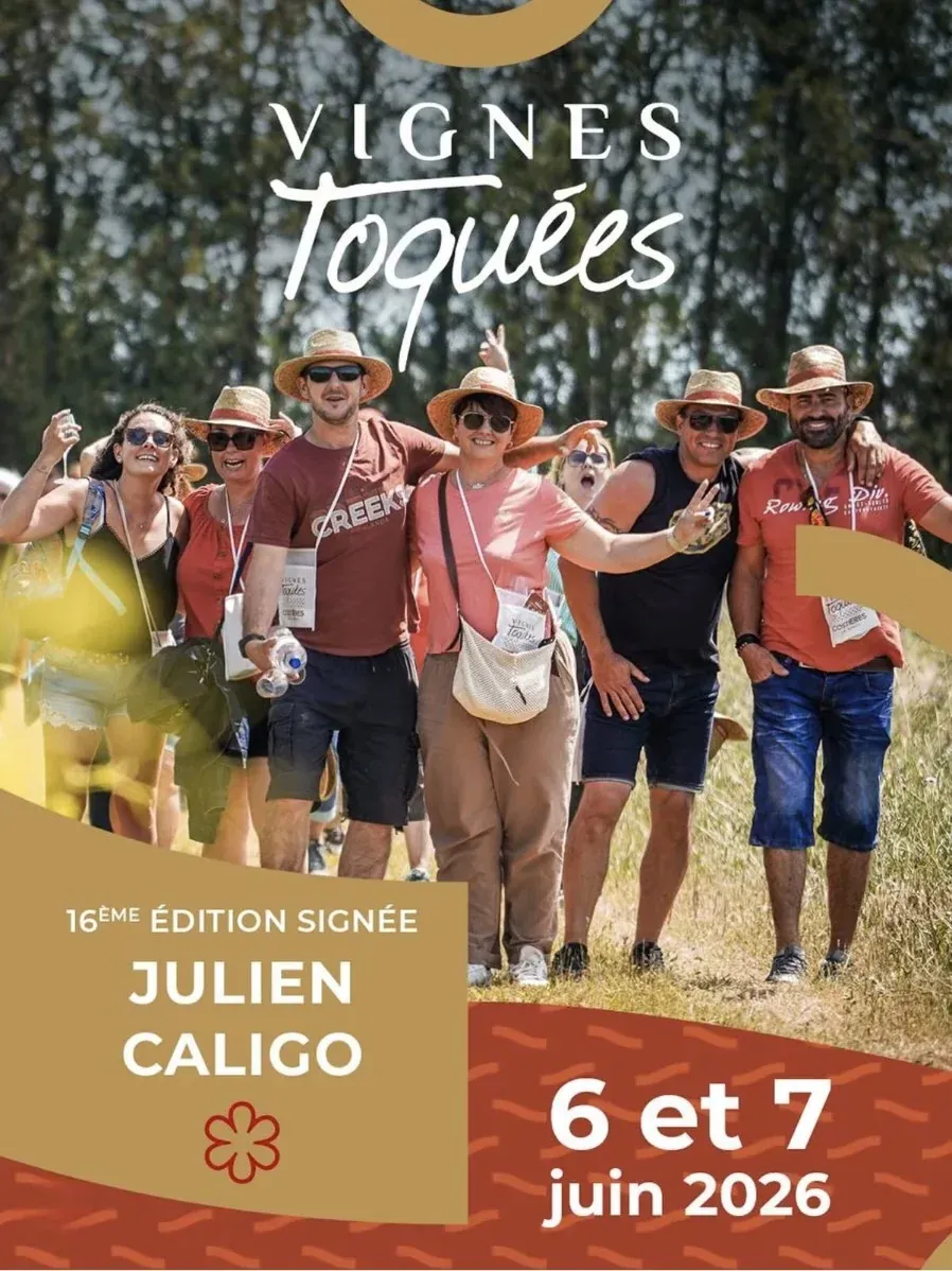 Vignes Toquées