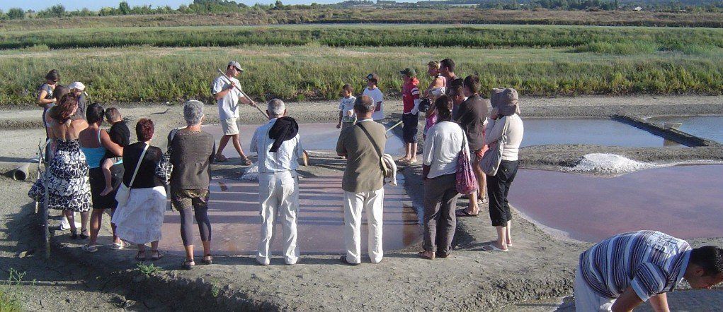 sel, visite, fleur de sel, enfant, groupe