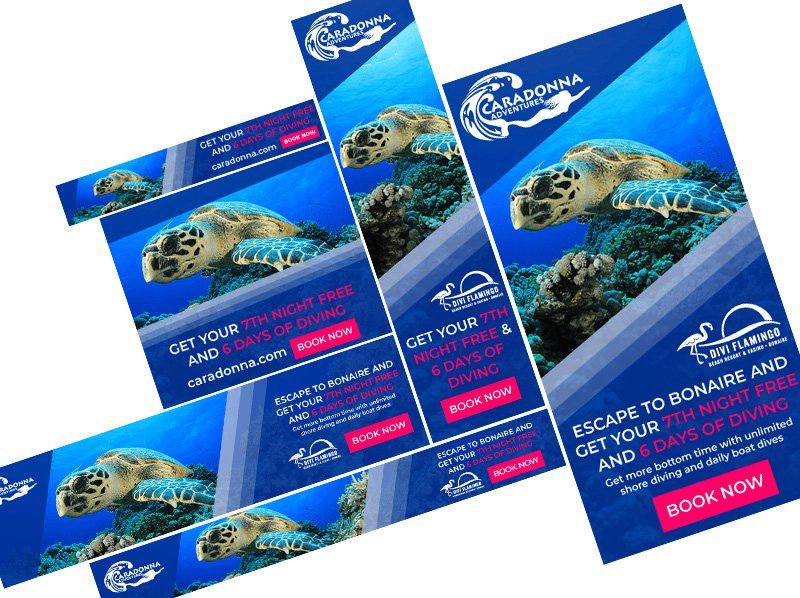 Divi Resort Web Banners