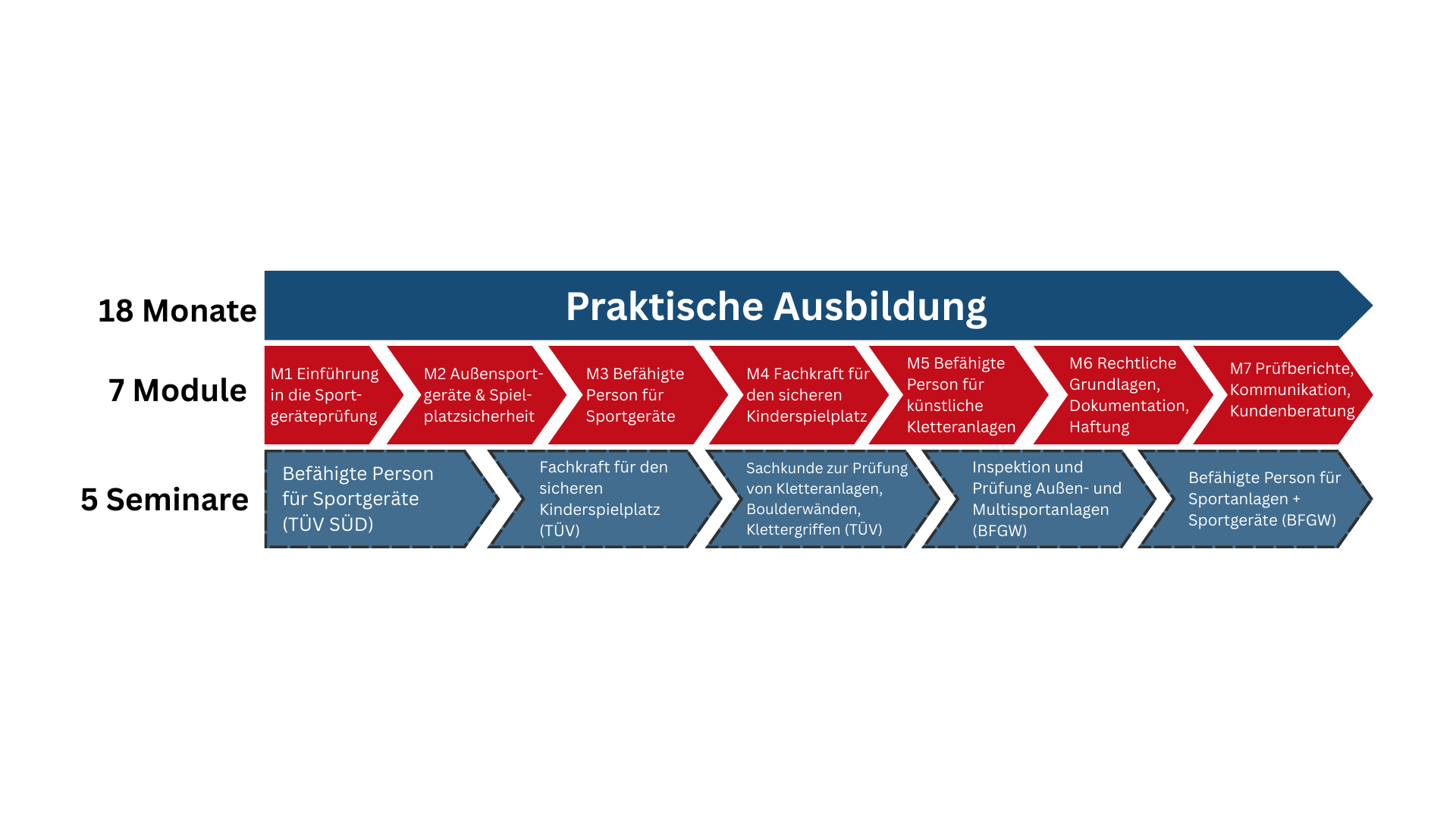 Abbildung Modulablauf Sportgeräteservicetechniker oder Sportgeräteservicetechnikeren