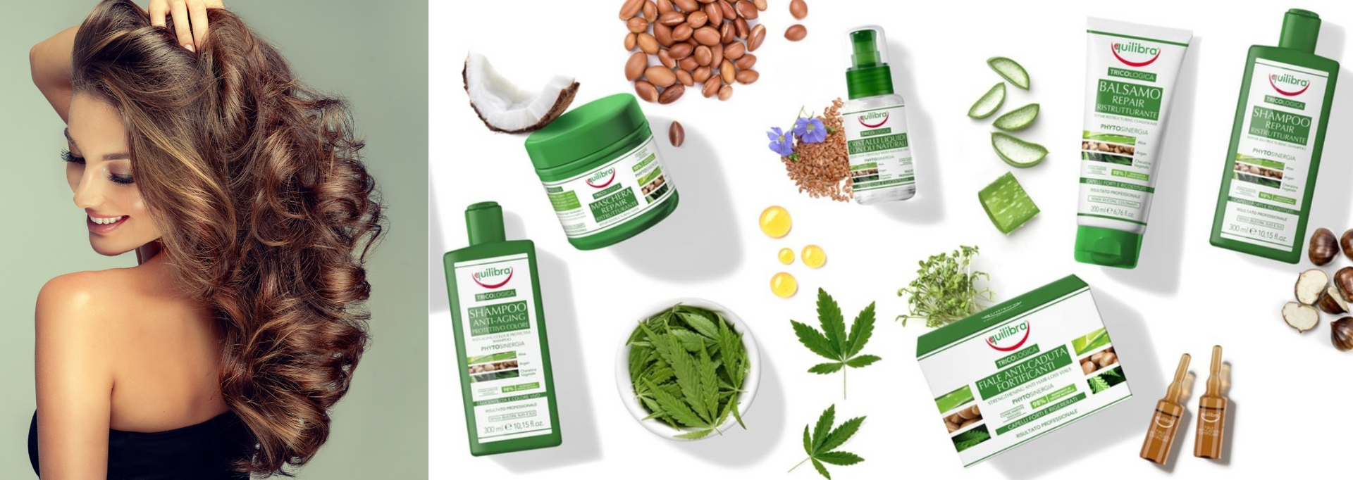 Equilibra Haarpflege mit Phytosineriakomplex Banner Haarpflegeproukte Equilibra