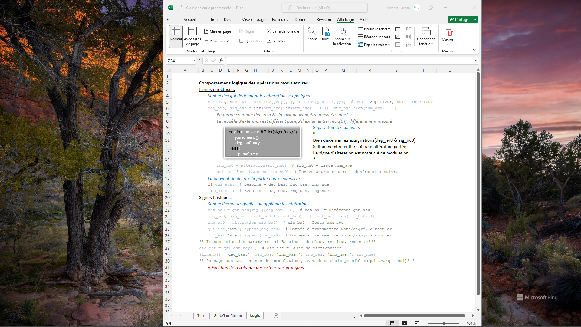Transmis Excel Nom: CapturExcelTransmission.png
