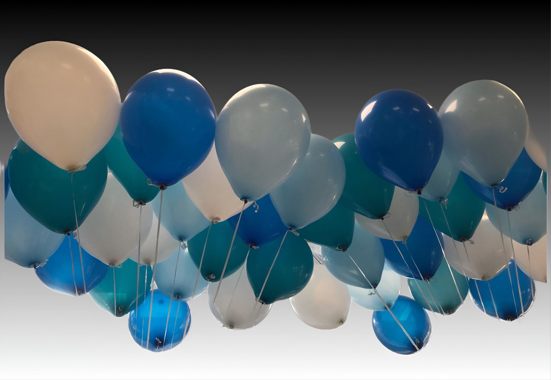 latexballons-heliumgefüllt-blau-weiß