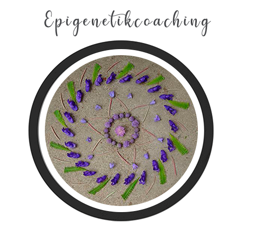 Mandala gelegt mit  lila Blüten auf Sand - Linkbild zu Nachhaltigkeitscoaching