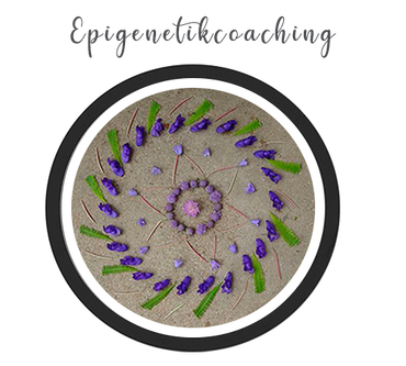 Mandala gelegt mit  lila Blüten auf Sand - Linkbild zu Nachhaltigkeitscoaching