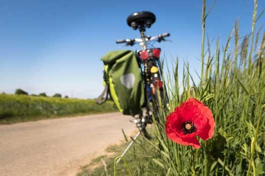 Fahrradtouren in und um Neumarkt