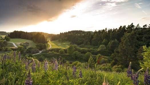 Golfclub Lauterhofen erkunden Blick auf Golfplätze des Golfclub Lauterhofen
