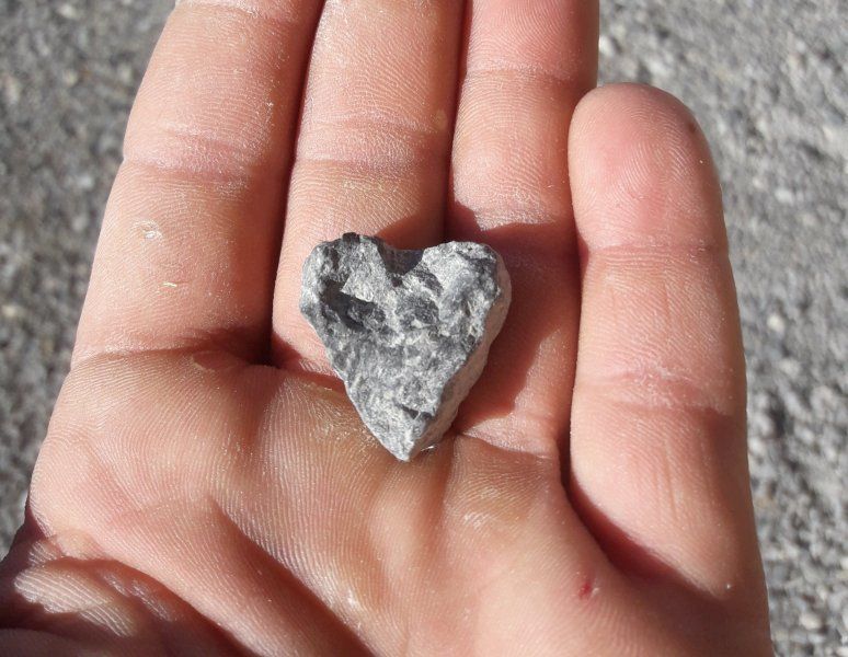 Holzbau aus Meisterhand