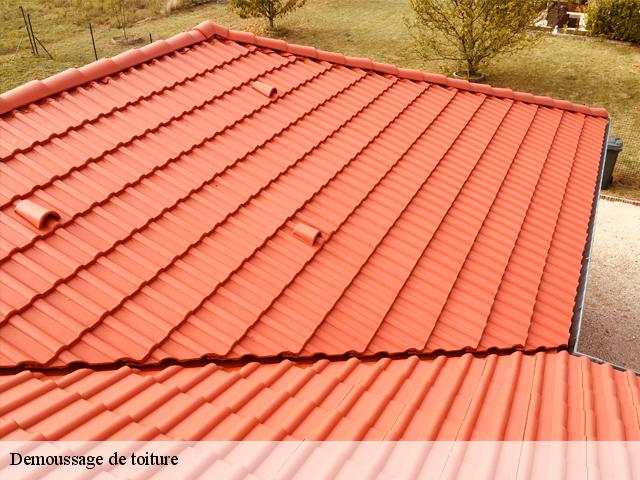demoussage toiture