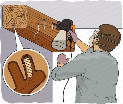 traitement de charpente haute garonne