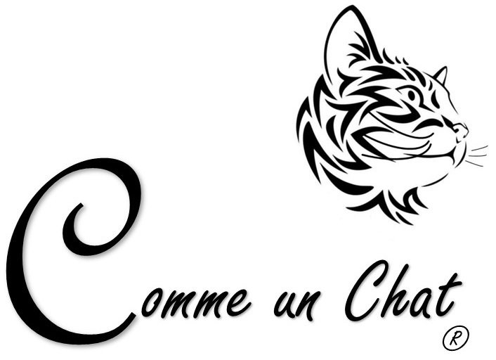 Comportementaliste Félin Comme un Chat Comportementaliste Félin