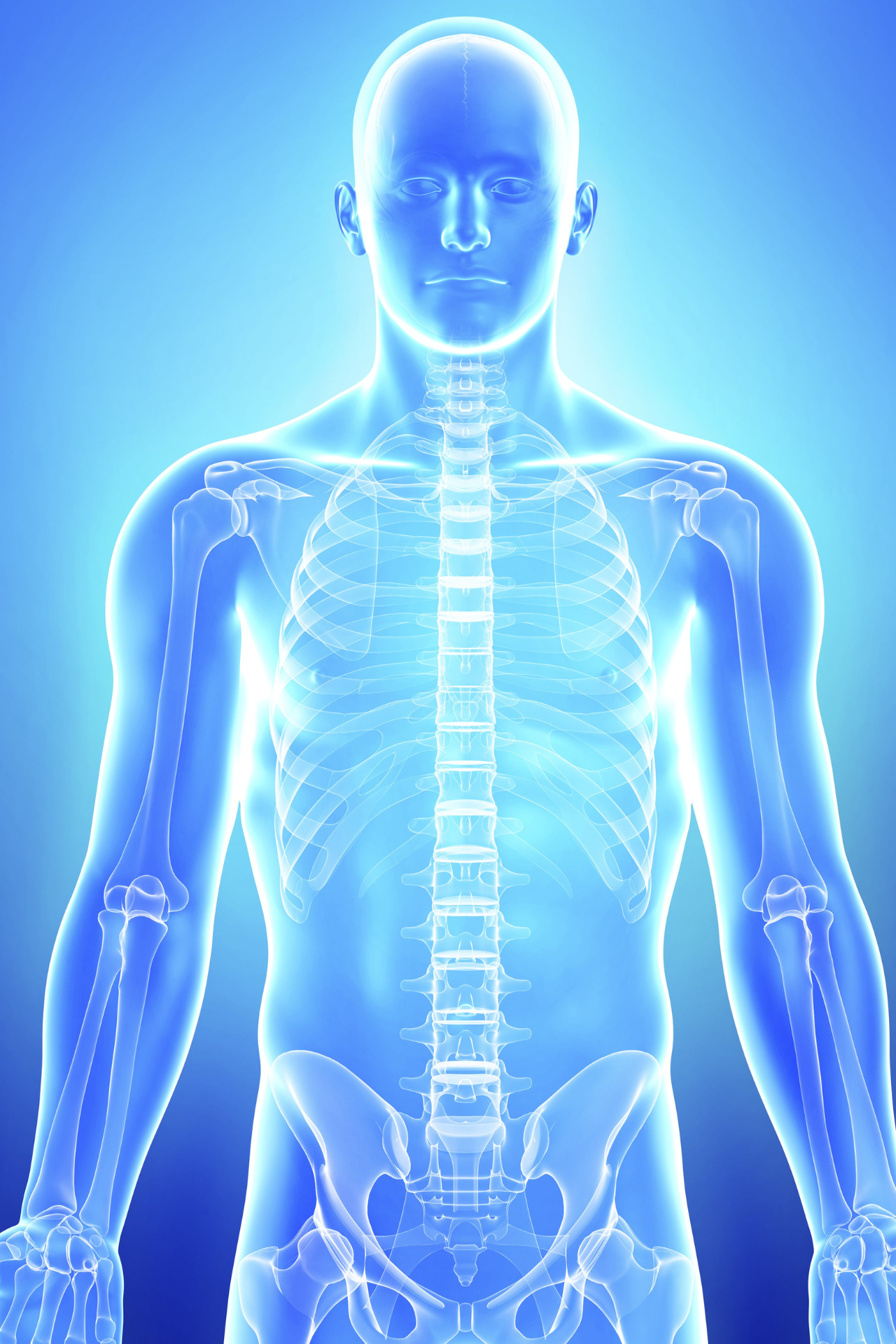 Anatomie palpatoire Formation anatomie palpatoire