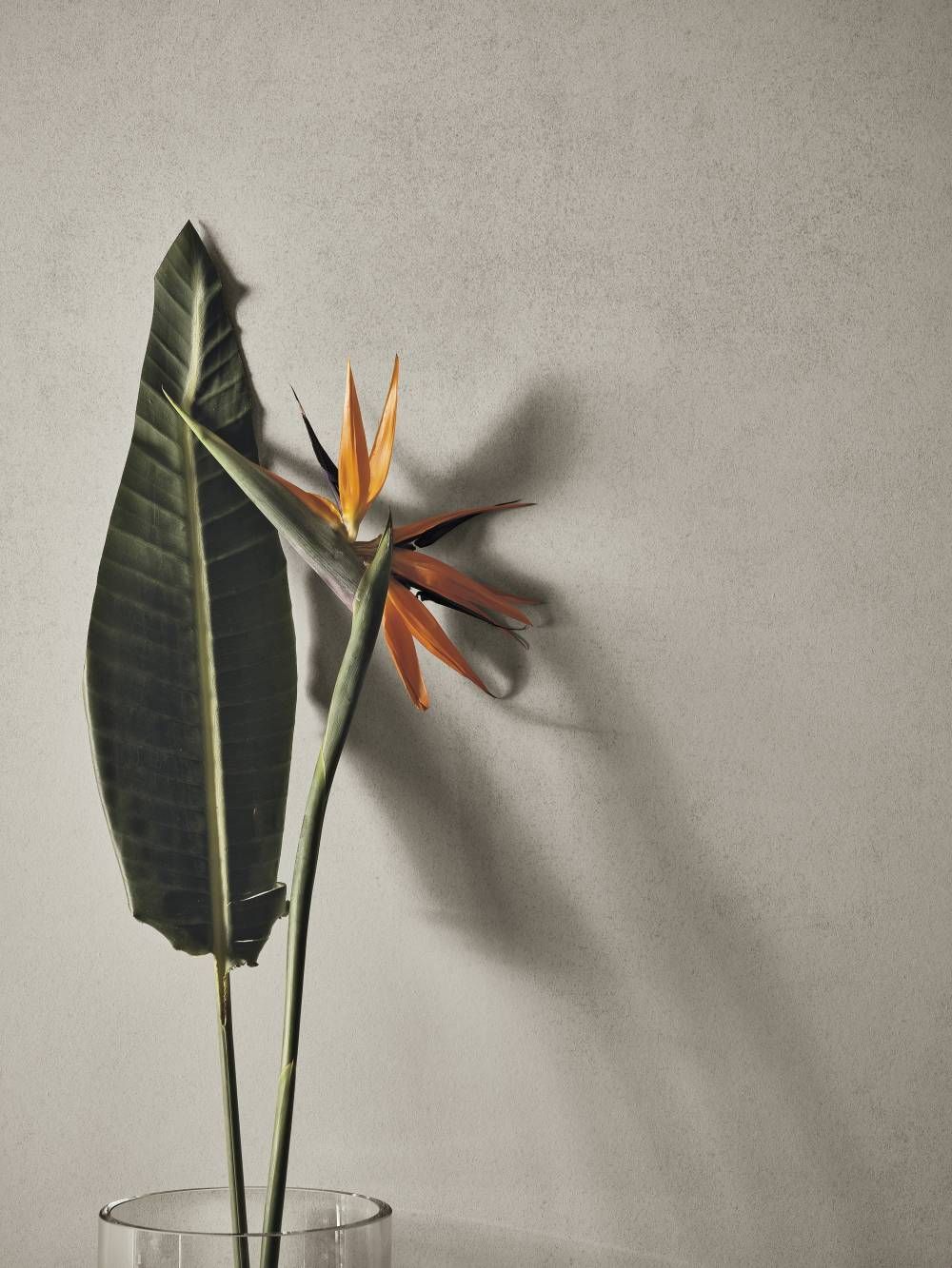 close up of leaf and plain effet wall tiles